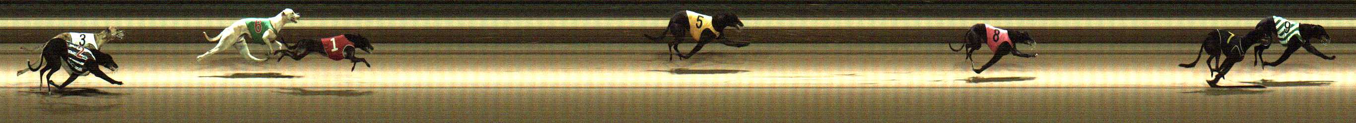 Photo finish for Warragul Race 10