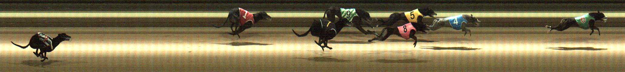 Photo finish for Warragul Race 11