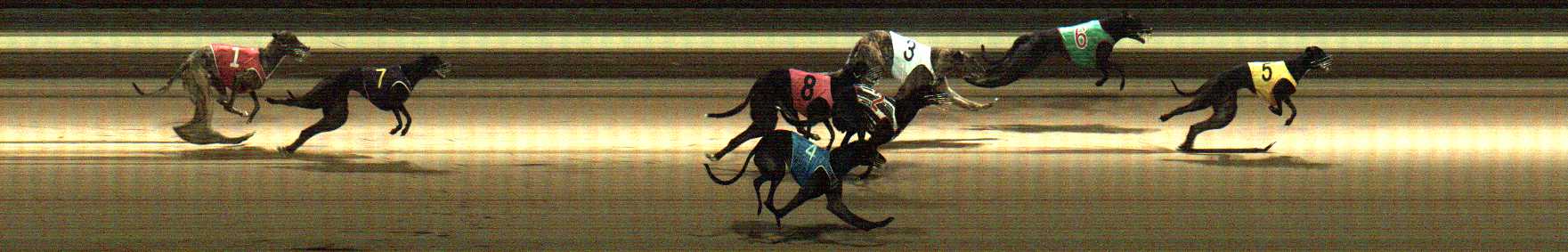 Photo finish for Warragul Race 12