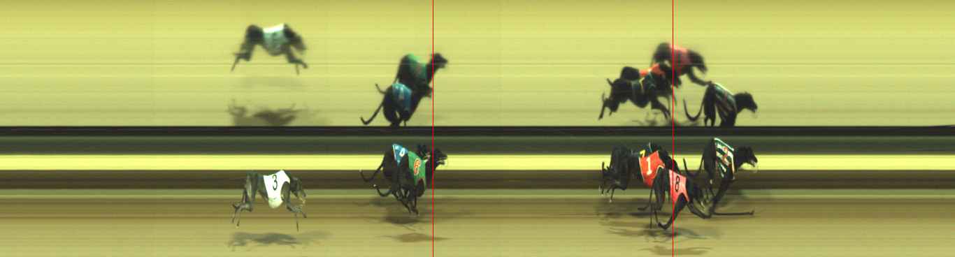 Photo finish for Warragul Race 10