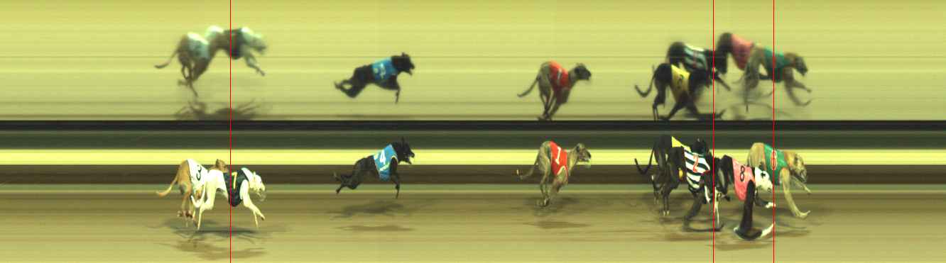 Photo finish for Warragul Race 11