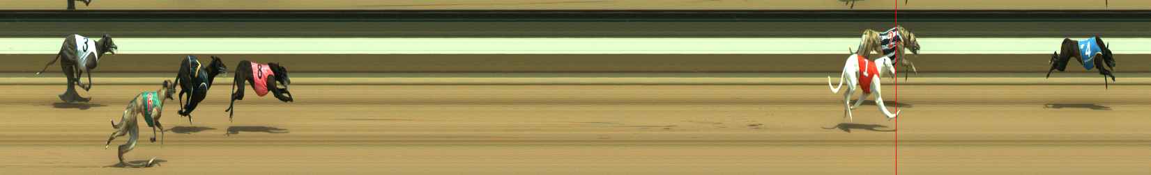 Photo finish for Warragul Race 1