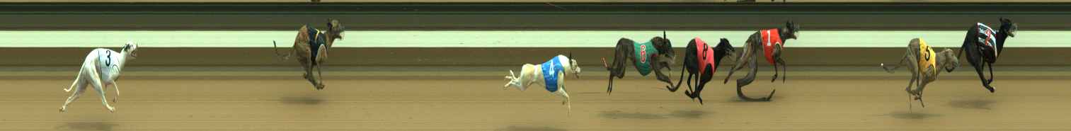 Photo finish for Warragul Race 4