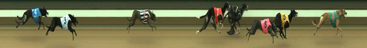 Photo finish for Warragul Race 6