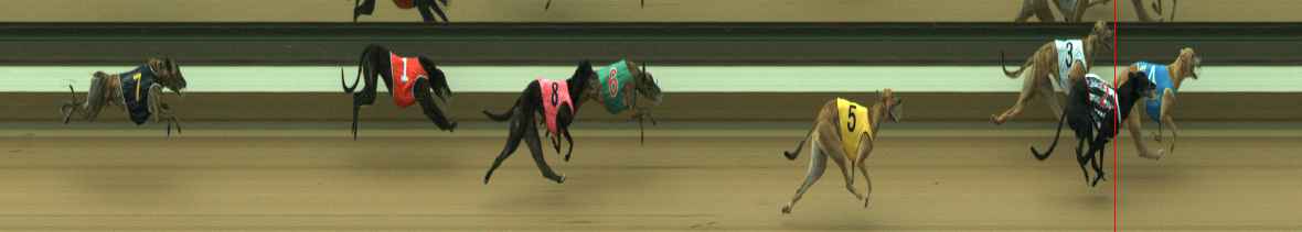 Photo finish for Warragul Race 7