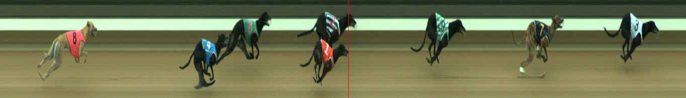 Photo finish for Warragul Race 9