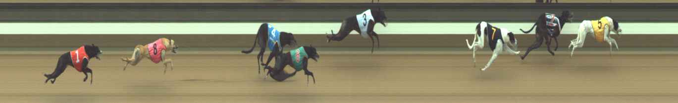 Photo finish for Warragul Race 10