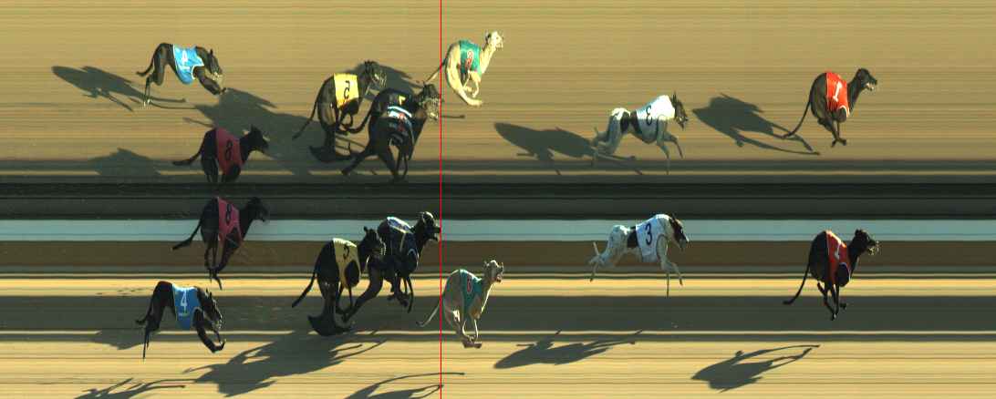 Photo finish for Warragul Race 2