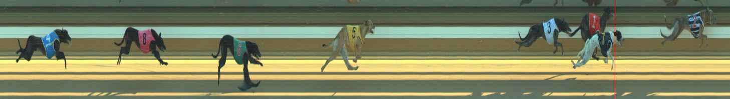 Photo finish for Warragul Race 3