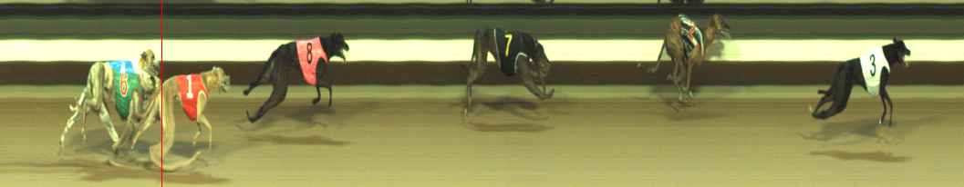 Photo finish for Warragul Race 6