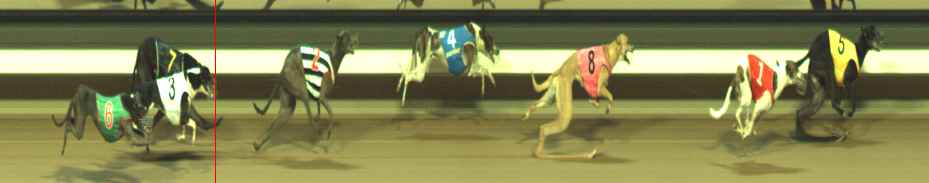 Photo finish for Warragul Race 8