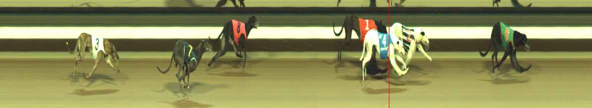 Photo finish for Warragul Race 11