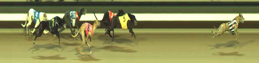 Photo finish for Warragul Race 12