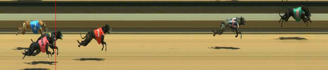 Photo finish for Warragul Race 2
