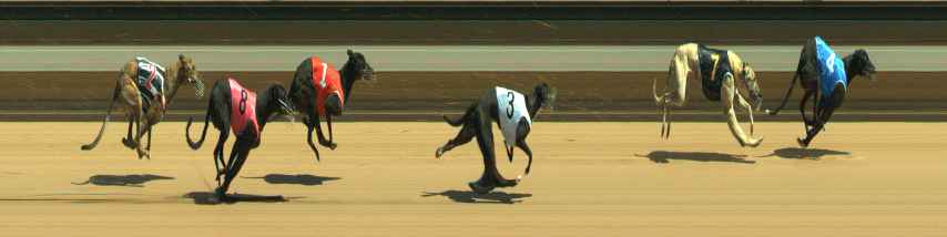 Photo finish for Warragul Race 3