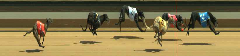 Photo finish for Warragul Race 4