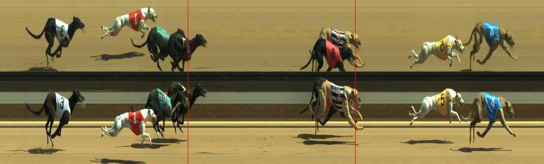 Photo finish for Warragul Race 5