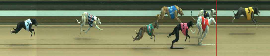Photo finish for Warragul Race 6