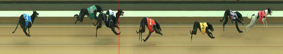 Photo finish for Warragul Race 7