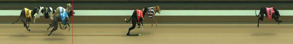 Photo finish for Warragul Race 8
