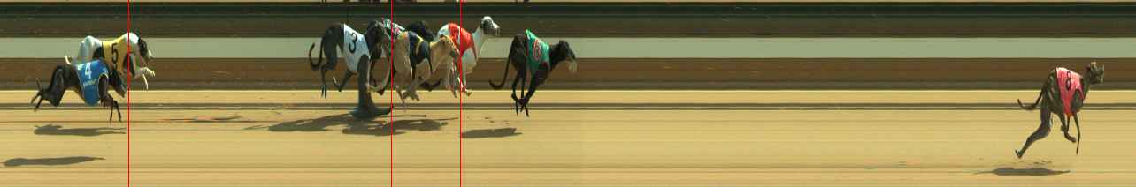 Photo finish for Warragul Race 10