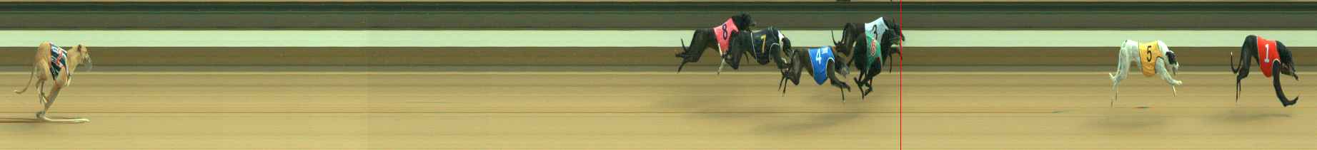 Photo finish for Warragul Race 11