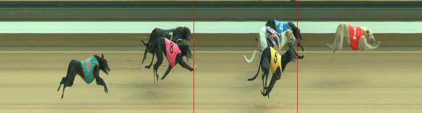 Photo finish for Warragul Race 12