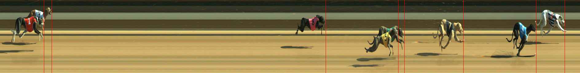 Photo finish for Warragul Race 1