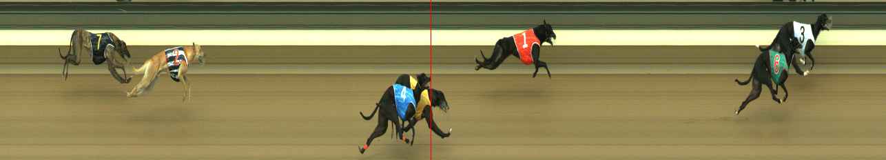Photo finish for Warragul Race 2