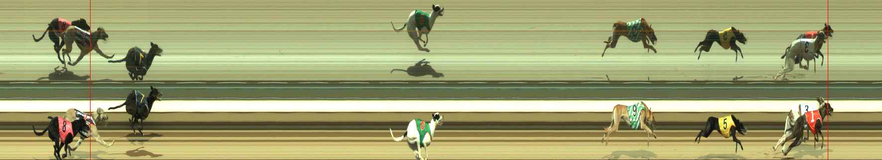 Photo finish for Warragul Race 3