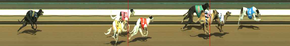 Photo finish for Warragul Race 5