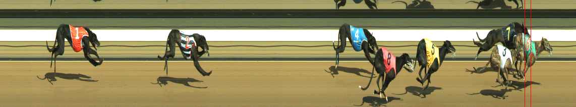 Photo finish for Warragul Race 8