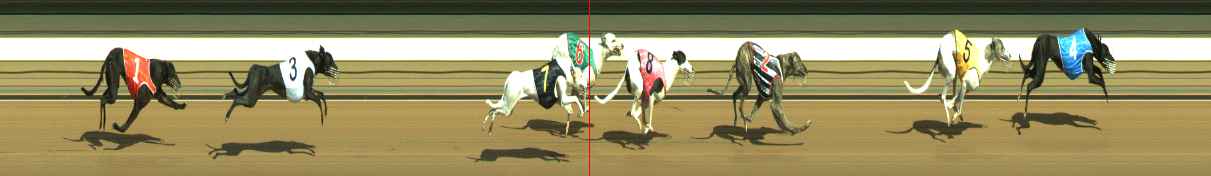 Photo finish for Warragul Race 9