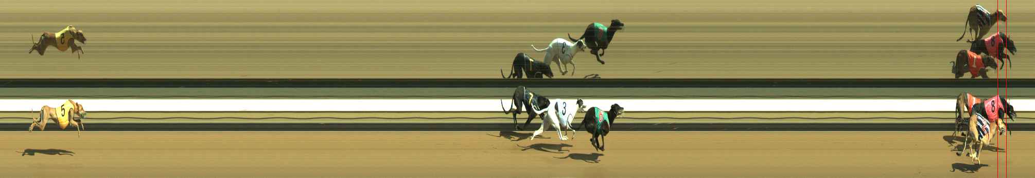Photo finish for Warragul Race 10