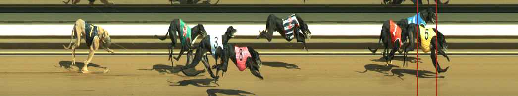 Photo finish for Warragul Race 11