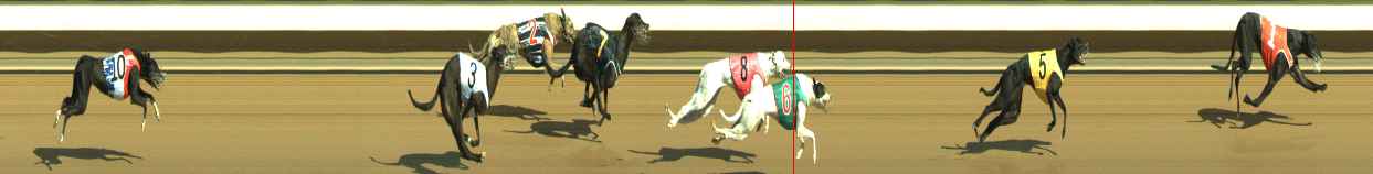 Photo finish for Warragul Race 12