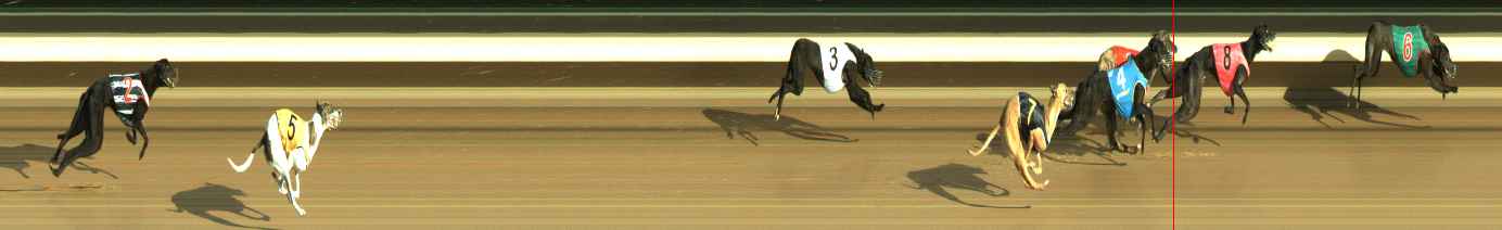 Photo finish for Warragul Race 1