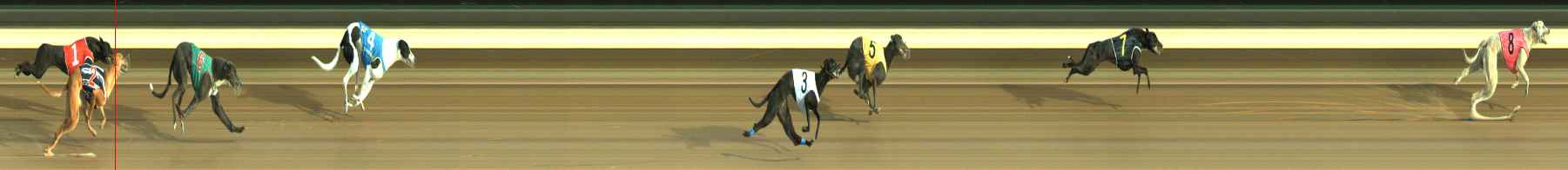 Photo finish for Warragul Race 2