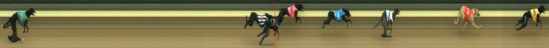 Photo finish for Warragul Race 3
