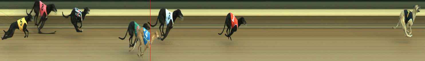 Photo finish for Warragul Race 4