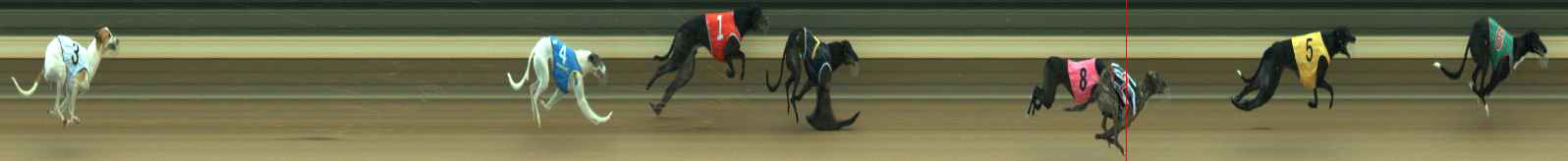 Photo finish for Warragul Race 5