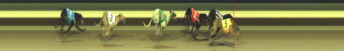 Photo finish for Warragul Race 8