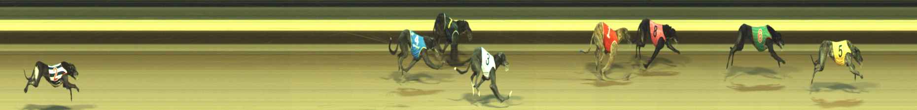 Photo finish for Warragul Race 10