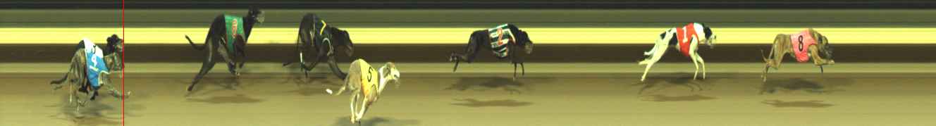 Photo finish for Warragul Race 11