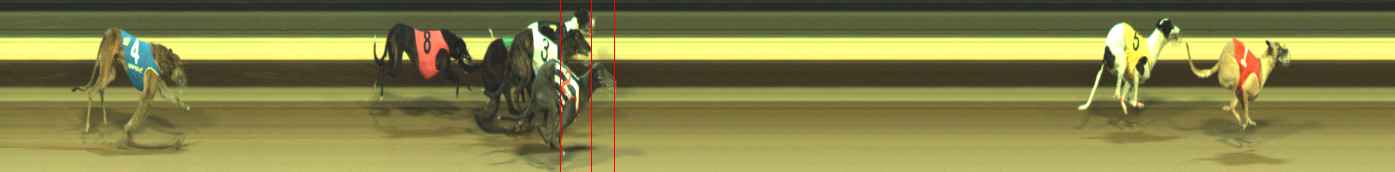 Photo finish for Warragul Race 12