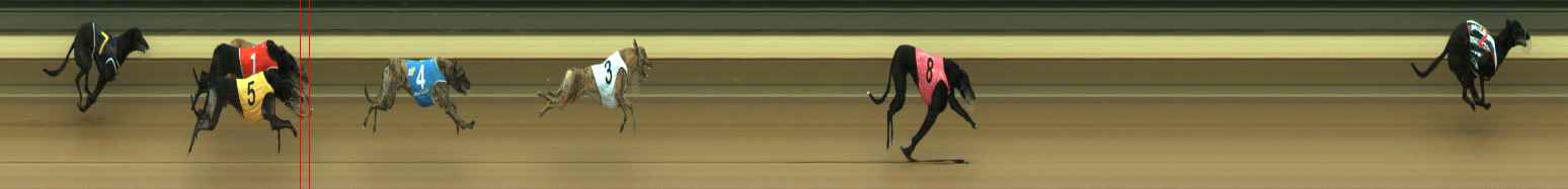 Photo finish for Warragul Race 2