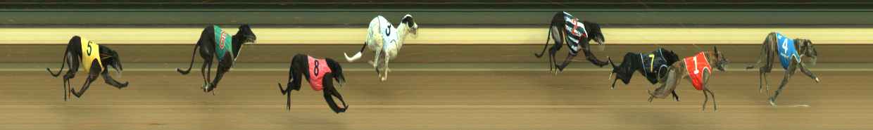 Photo finish for Warragul Race 3