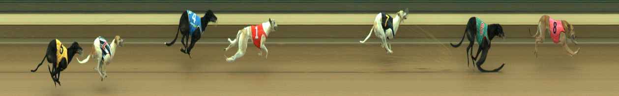 Photo finish for Warragul Race 4