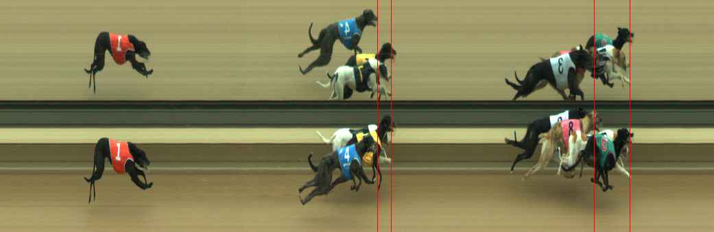 Photo finish for Warragul Race 5