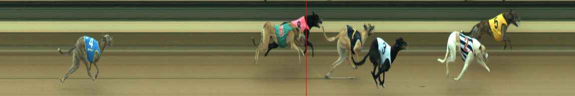 Photo finish for Warragul Race 6